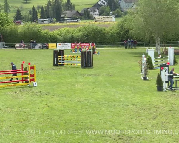 Reitturnier Elgg 2019