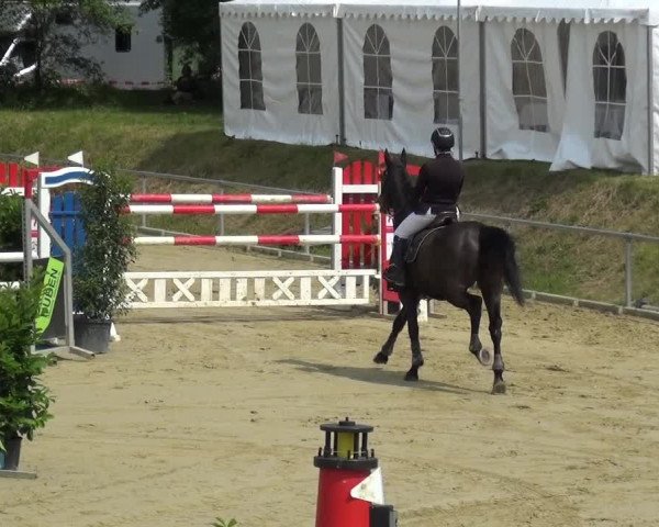 Reitturnier Ladenburg 2019