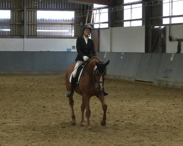 Reitturnier Dortmund-Asseln 2019