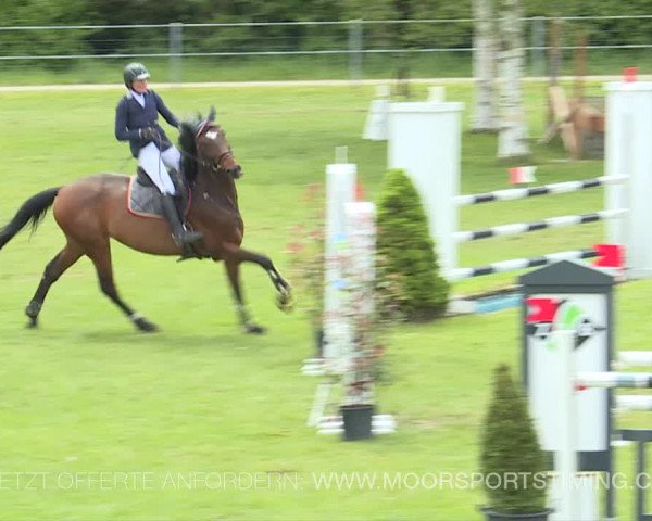 Reitturnier Elgg 2019