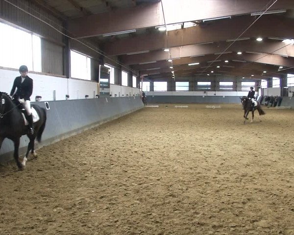 Reitturnier Dortmund-Asseln 2019