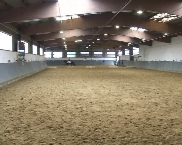 Reitturnier Dortmund-Asseln 2019