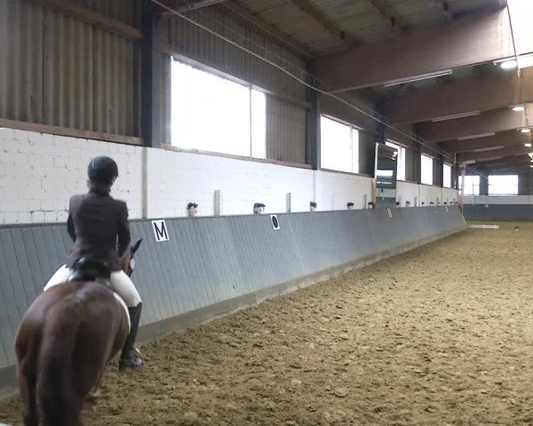 Reitturnier Dortmund-Asseln 2019