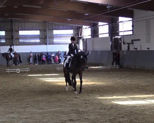 Reitturnier Dortmund-Asseln 2019