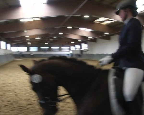 Reitturnier Dortmund-Asseln 2019