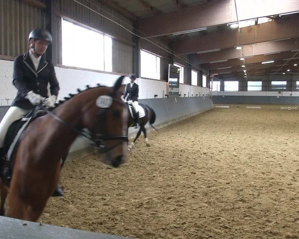 Reitturnier Dortmund-Asseln 2019