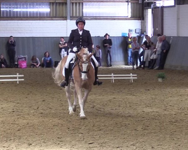 Reitturnier Dortmund-Asseln 2019
