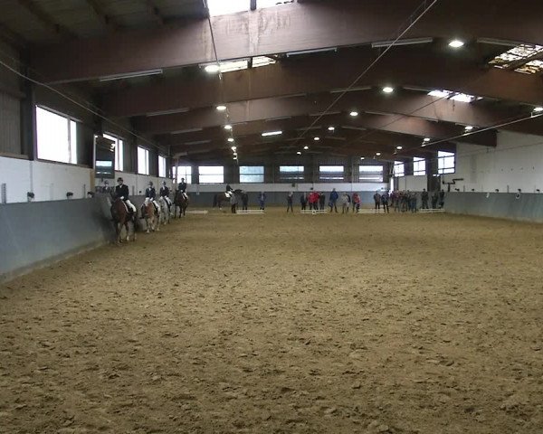 Reitturnier Dortmund-Asseln 2019