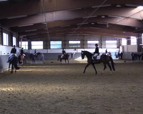 Reitturnier Dortmund-Asseln 2019