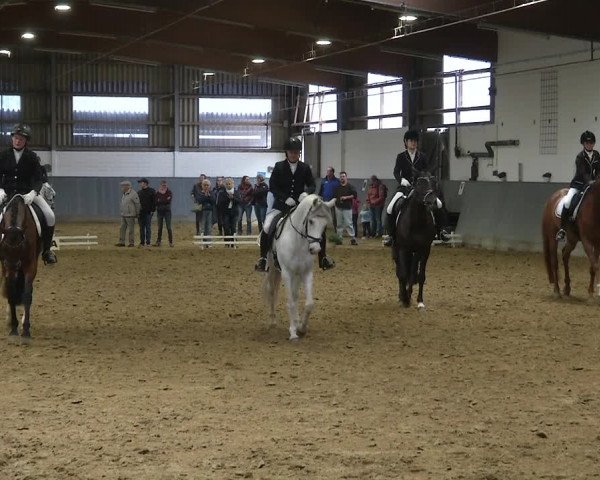 Reitturnier Dortmund-Asseln 2019