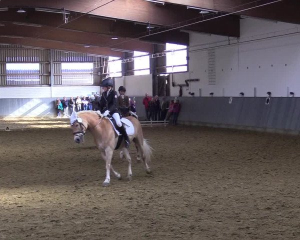 Reitturnier Dortmund-Asseln 2019