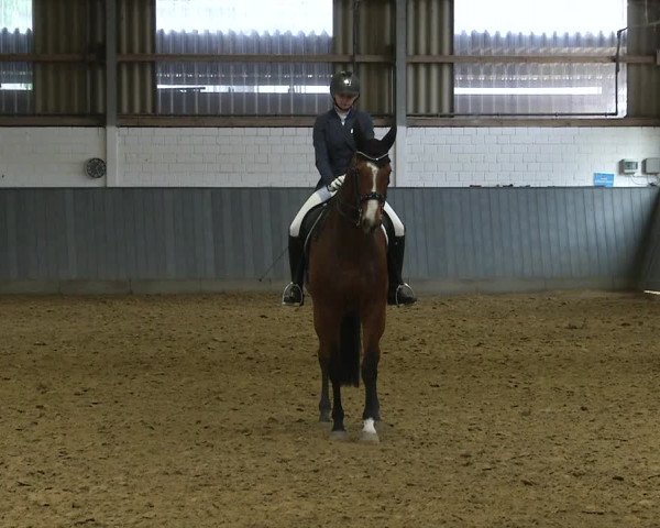 Reitturnier Dortmund-Asseln 2019