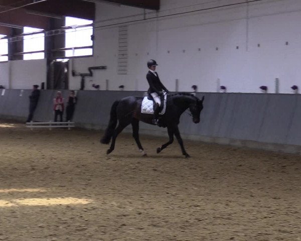 Reitturnier Dortmund-Asseln 2019