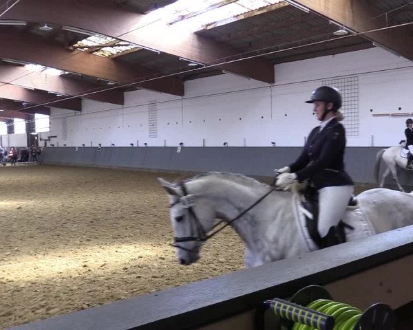 Reitturnier Dortmund-Asseln 2019
