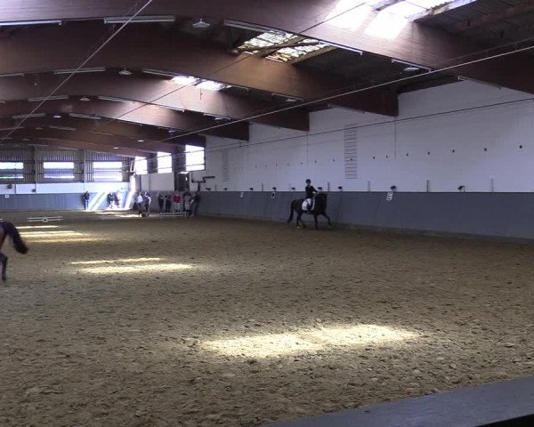 Reitturnier Dortmund-Asseln 2019