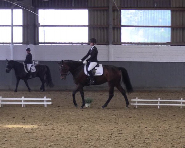 Reitturnier Dortmund-Asseln 2019