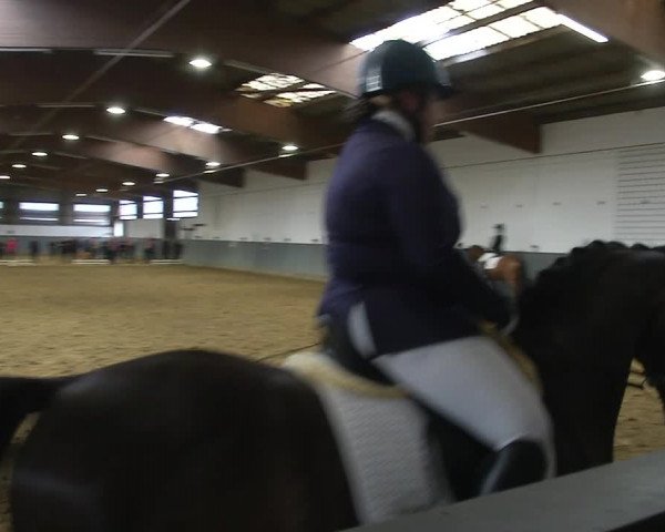 Reitturnier Dortmund-Asseln 2019