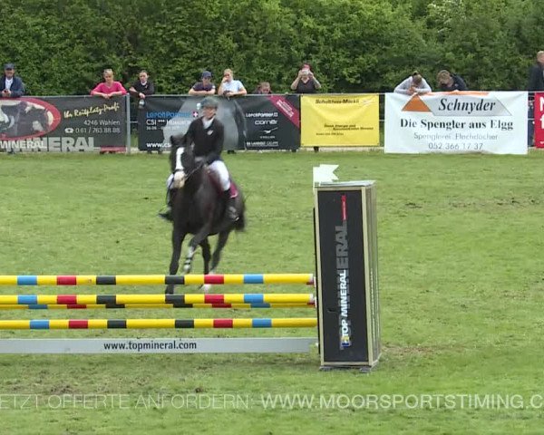 Reitturnier Elgg 2019