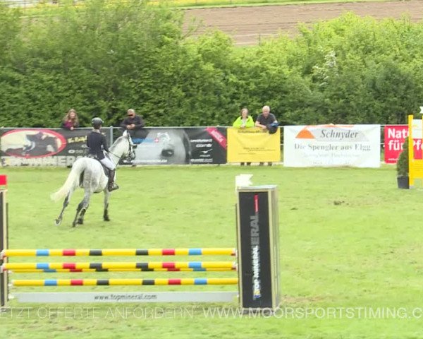 Reitturnier Elgg 2019