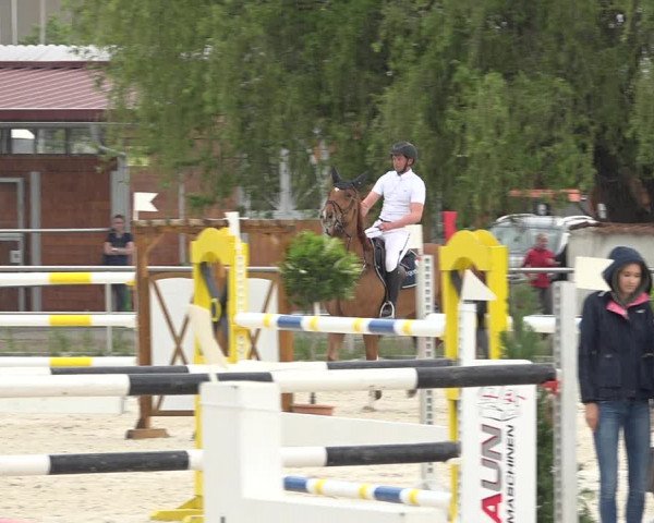 Reitturnier Achern 2019