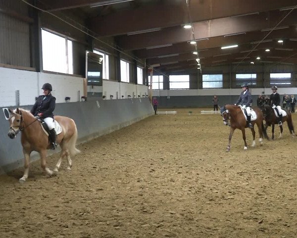 Reitturnier Dortmund-Asseln 2019
