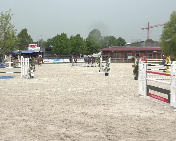 Reitturnier Achern 2019