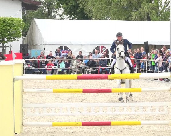 Reitturnier Achern 2019