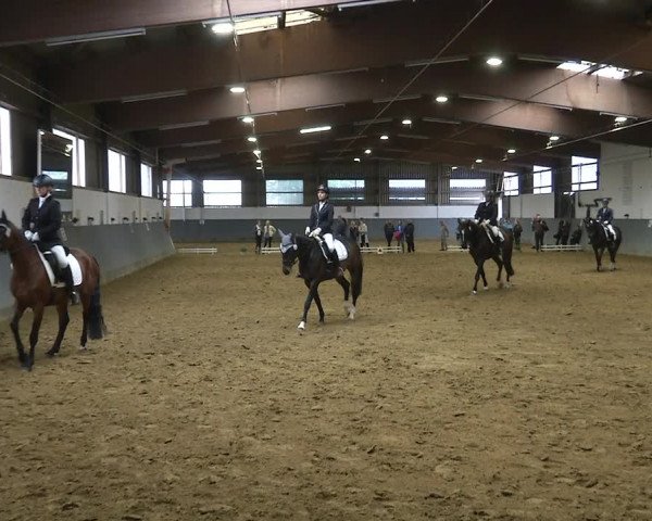 Reitturnier Dortmund-Asseln 2019