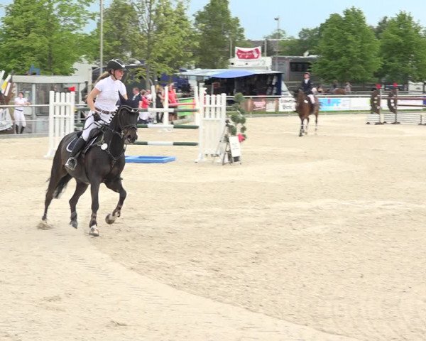 Reitturnier Achern 2019