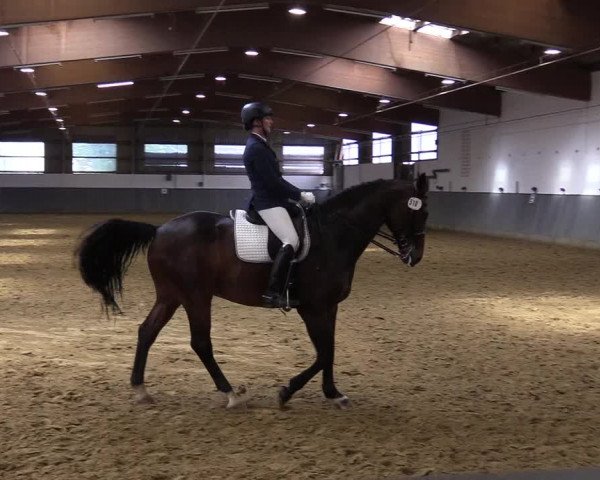 Reitturnier Dortmund-Asseln 2019