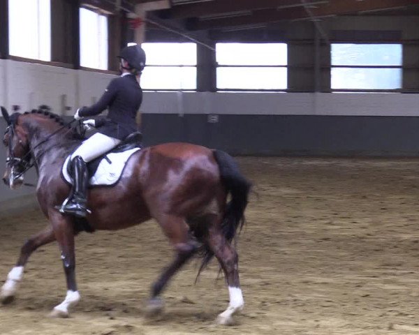Reitturnier Dortmund-Asseln 2019