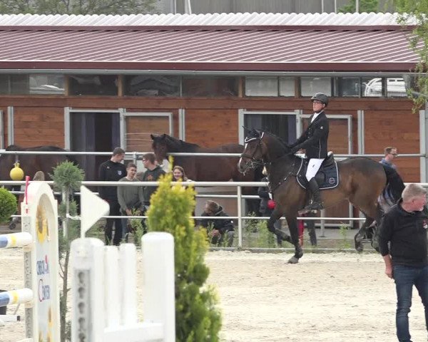 Reitturnier Achern 2019