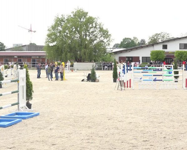 Reitturnier Achern 2019