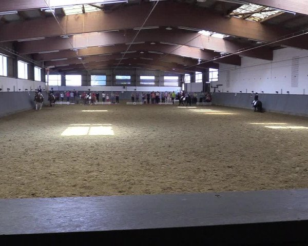 Reitturnier Dortmund-Asseln 2019