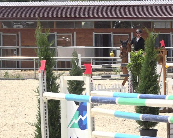 Reitturnier Achern 2019