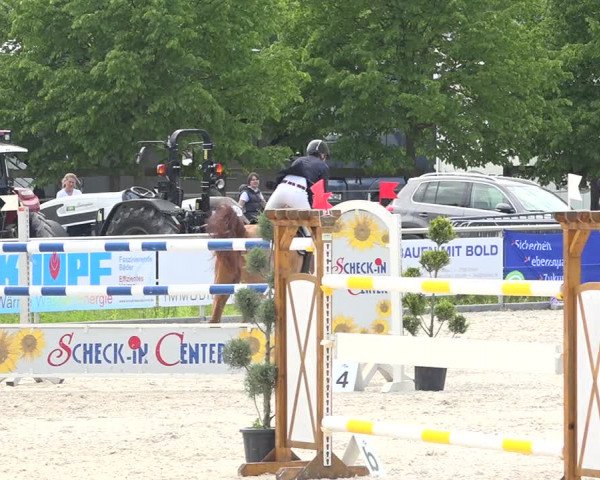 Reitturnier Achern 2019