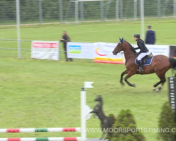 Reitturnier Elgg 2019