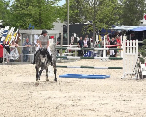 Reitturnier Achern 2019