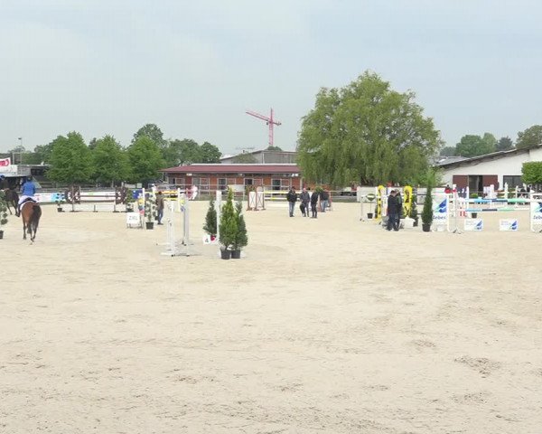 Reitturnier Achern 2019
