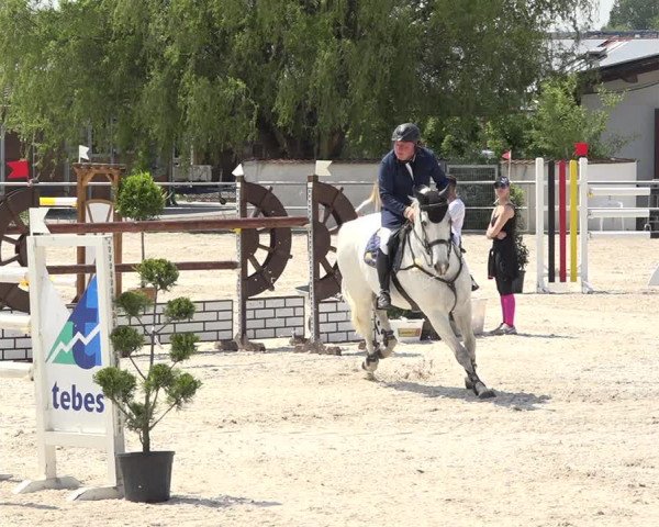 Reitturnier Achern 2019