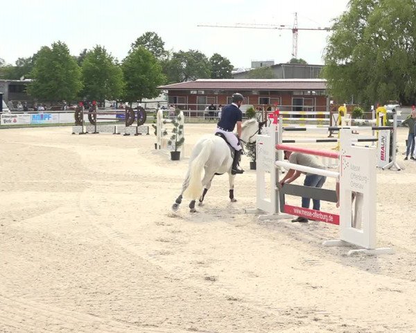 Reitturnier Achern 2019