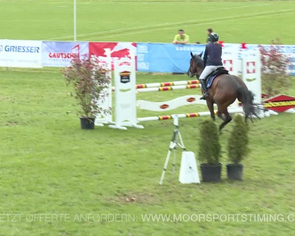 Reitturnier Elgg 2019