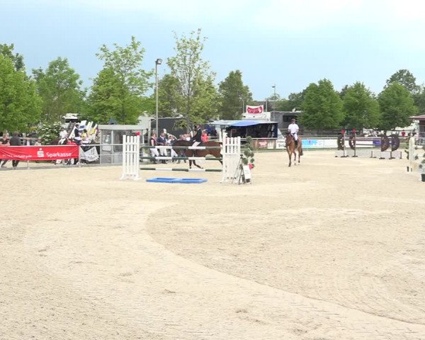 Reitturnier Achern 2019