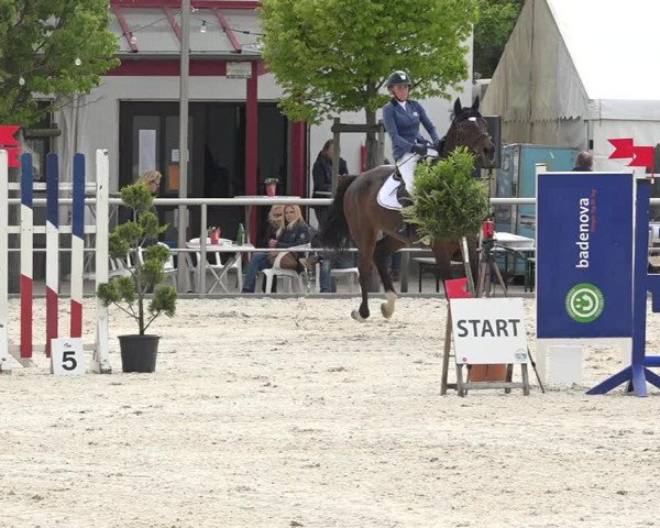 Reitturnier Achern 2019