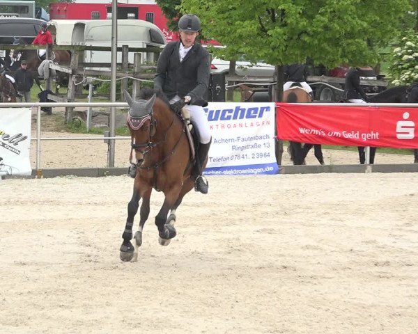 Reitturnier Achern 2019