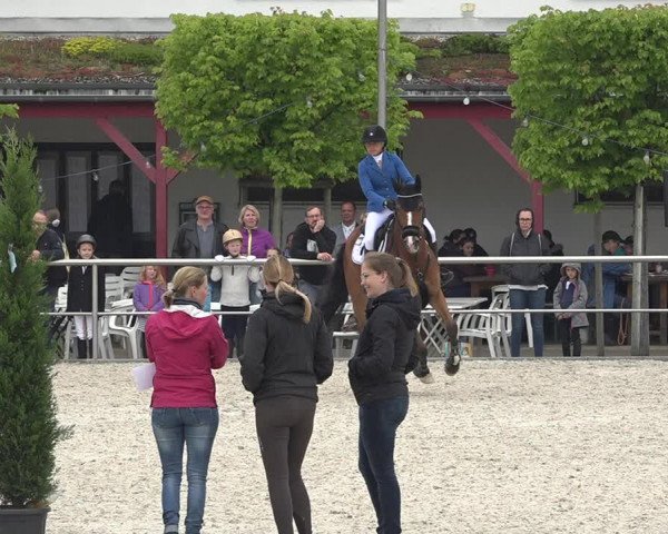 Reitturnier Achern 2019