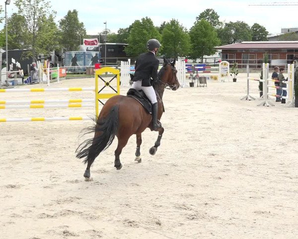 Reitturnier Achern 2019