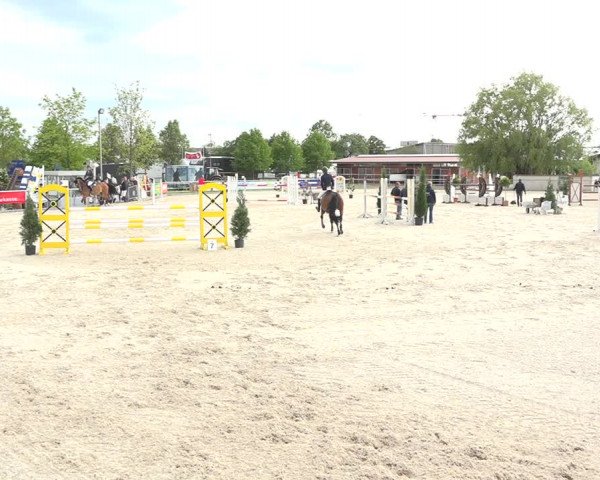 Reitturnier Achern 2019