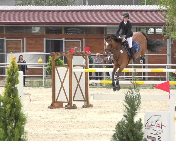 Reitturnier Achern 2019