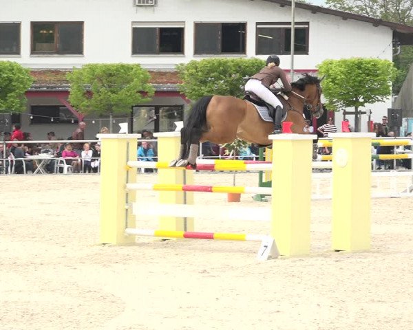 Reitturnier Achern 2019